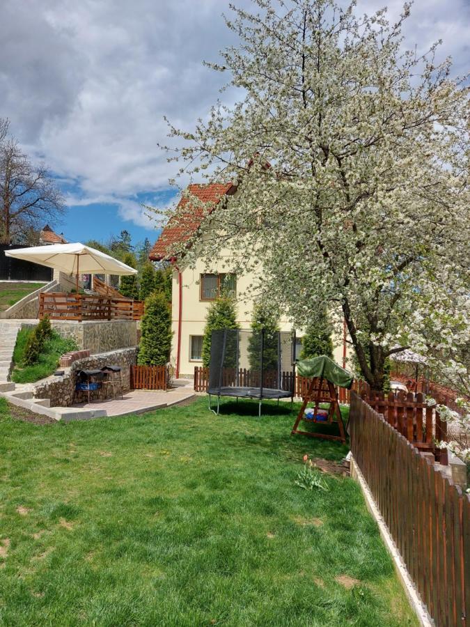 Apartament Matei Brasov Exterior photo